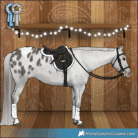 Horse Color:Grullo Varnish Brindle 