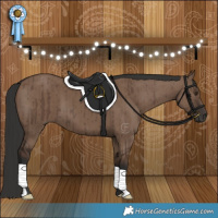Horse Color:Liver Red Dun Brindle 
