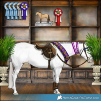 Horse Color:Liver Red Dun Appaloosa Brindle 