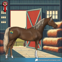 Horse Color:Chocolate Palomino Tobiano 