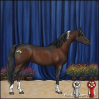 Horse Color:Brown Tobiano 