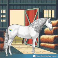 Horse Color:Gray Bay Roan Splash Rabicano 