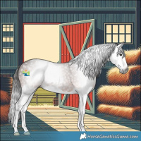 Horse Color:Gray Bay Splash 