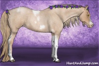 Horse Color:Red Roan Pearl Tobiano Frame 