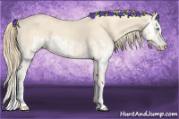 Horse Color:Perlino Splash  and Perlino Splash Frame 