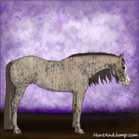 Horse Color:Blue Roan Sabino Splash  and Classic Champagne Roan Sabino Splash 