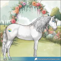 Horse Color:Gray Silver Buckskin Pearl Splash 