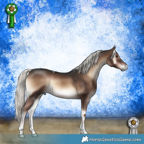 Horse Color:Liver Red Onyx Mushroom Tobiano 