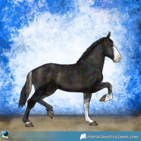 Horse Color:Midnight Blue Onyx Ice Sabino