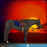 Horse Color:Liver Chestnut Rabicano 