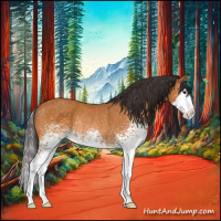 Horse Color:White Spotted Buckskin Sabino Splash Rabicano 