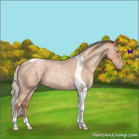 Horse Color:Silver Classic Champagne Roan Tobiano 