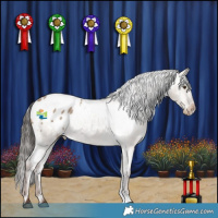 Horse Color:Liver Red Dun Appaloosa 