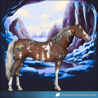 Horse Color:White Spotted Silver Brown Sabino 