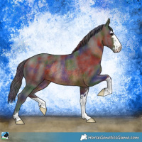 Horse Color:Nacre Brown Rabicano