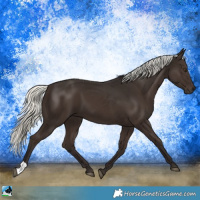 Horse Color:Liver Chestnut Mushroom 