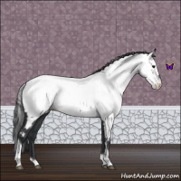 Horse Color:Blue Roan Tobiano Near Fewspot 