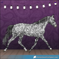 Horse Color:Blue Roan Snowflake Varnish