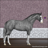 Horse Color:Blue Roan Splash Snowflake Varnish 