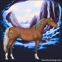 Horse Color:Silver Bay 