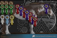 Horse Color:White Spotted Bay Sabino  and White Spotted Liver Chestnut Sabino 