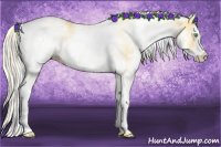 Horse Color:White Spotted Gold Cream Champagne 