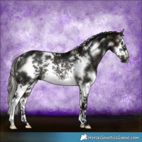 Horse Color:White Spotted Midnight Buckskin Ice Splash Frame Rabicano 