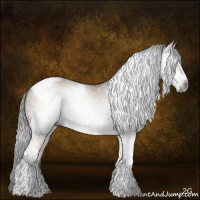 Horse Color:Gray Liver Red Dun Tobiano Frame 