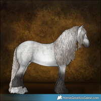 Horse Color:Gray Silver Blue Roan Rabicano 