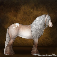 Horse Color:Gray Silver Sable Champagne Roan Appaloosa Rabicano 