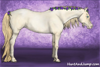 Horse Color:Buckskin Roan Pearl  and Buckskin Roan Pearl 