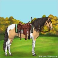 Horse Color:Buckskin Tobiano 