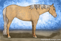 Horse Color:Classic Cream Champagne Roan  and Silver Classic Cream Champagne Roan 