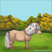Horse Color:Silver Sable Champagne 