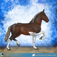 Horse Color:Liver Chestnut Tobiano Rabicano 