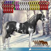 Horse Color:Liver Chestnut Mushroom Sabino 