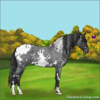 Horse Color:White Spotted Blue Roan Snowflake Varnish