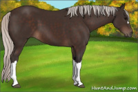 Horse Color:Silver Brown
