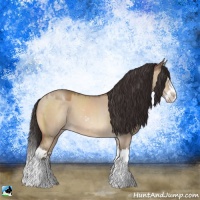Horse Color:Sable Champagne Dun Sabino Splash 