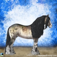 Horse Color:Brown Onyx Sabino Rabicano Brindle 