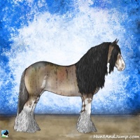 Horse Color:Liver Red Dun Sabino Splash Rabicano Brindle 