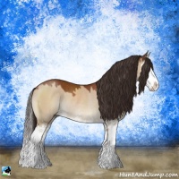 Horse Color:Brown Dun Splash Rabicano 