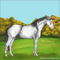 Horse Color:White Spotted Blue Roan Splash Snowcap 