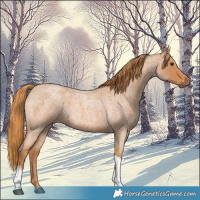 Horse Color:Red Roan Tobiano 