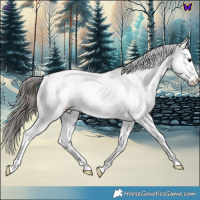 Horse Color:Blue Roan Near Fewspot 