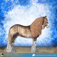 Horse Color:Liver Red Onyx Sabino Splash 