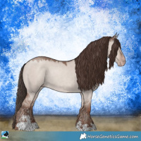 Horse Color:Classic Champagne Dun Mushroom Sabino Rabicano 
