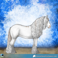 Horse Color:Gold Champagne Dun Sabino Splash Rabicano 