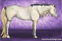 Horse Color:Buckskin Roan Pearl  and Buckskin Roan Pearl Splash 