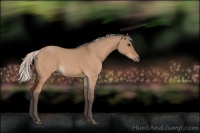 Horse Color:Silver Bay Roan Dun 